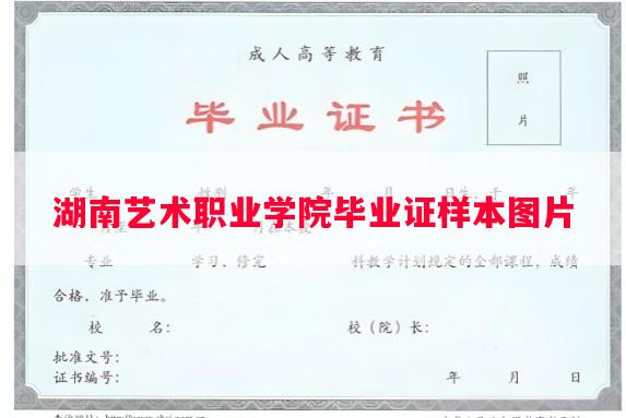 湖南艺术职业学院毕业证样本图片