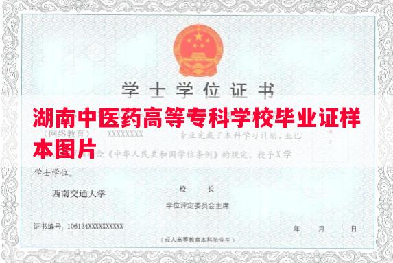 湖南中医药高等专科学校毕业证样本图片