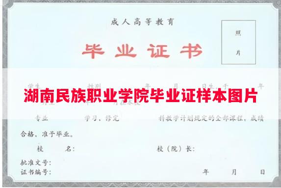 湖南民族职业学院毕业证样本图片