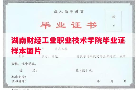 湖南财经工业职业技术学院毕业证样本图片