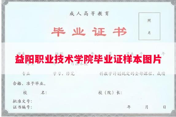 益阳职业技术学院毕业证样本图片