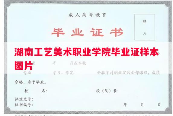 湖南工艺美术职业学院毕业证样本图片