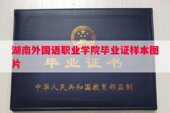 湖南外国语职业学院毕业证样本图片