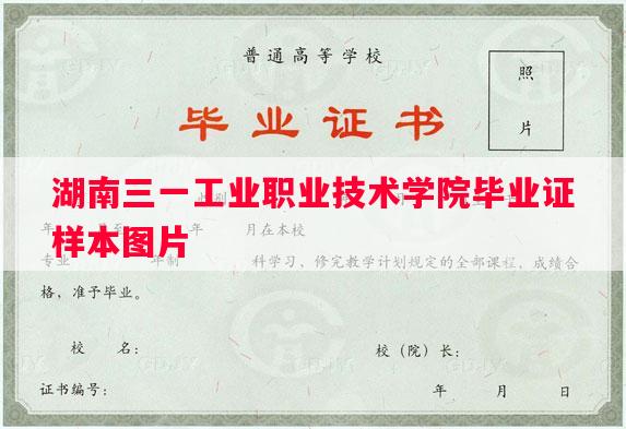湖南三一工业职业技术学院毕业证样本图片