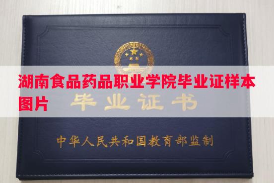 湖南食品药品职业学院毕业证样本图片