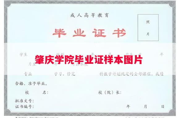肇庆学院毕业证样本图片