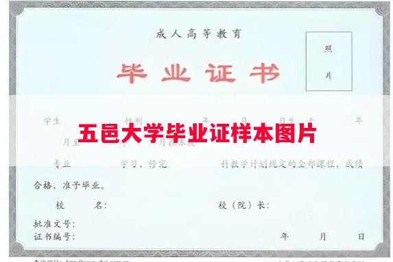 五邑大学毕业证样本图片
