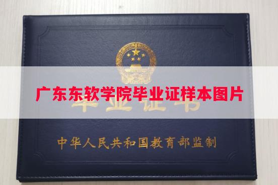 广东东软学院毕业证样本图片