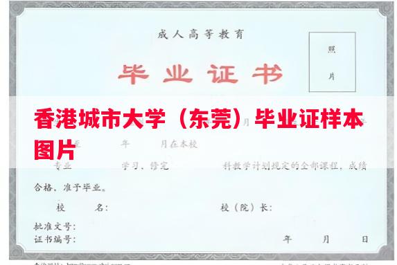 香港城市大学（东莞）毕业证样本图片