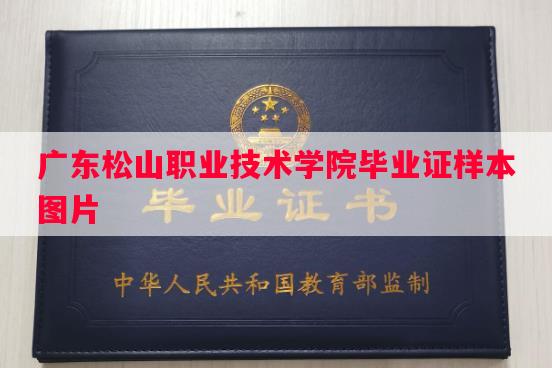 广东松山职业技术学院毕业证样本图片