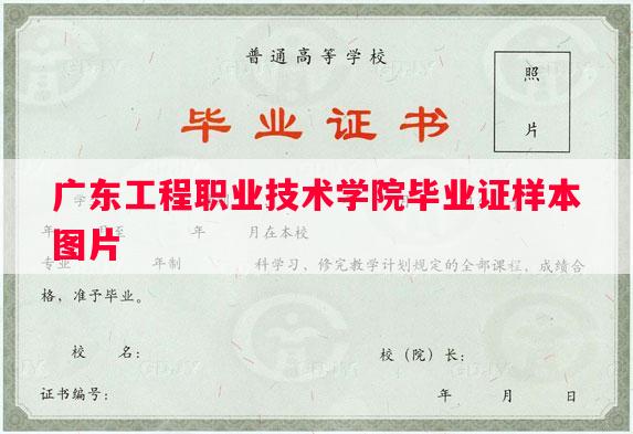 广东工程职业技术学院毕业证样本图片