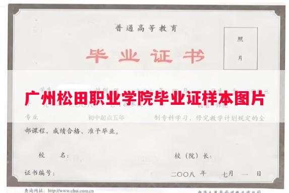 广州松田职业学院毕业证样本图片
