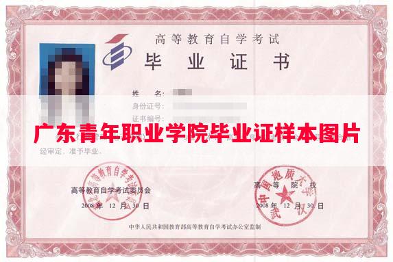 广东青年职业学院毕业证样本图片
