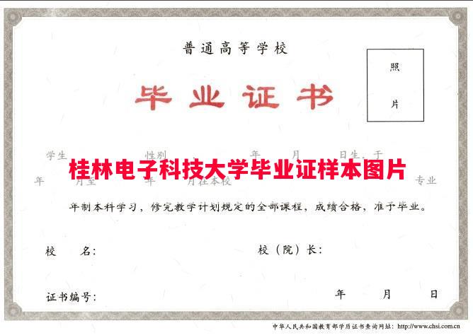 桂林电子科技大学毕业证样本图片
