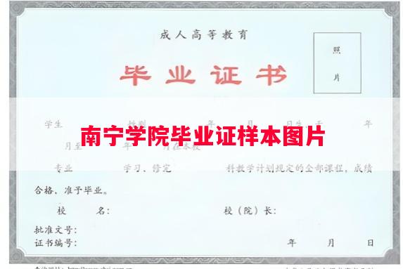 南宁学院毕业证样本图片