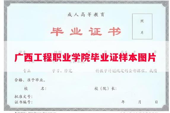 广西工程职业学院毕业证样本图片