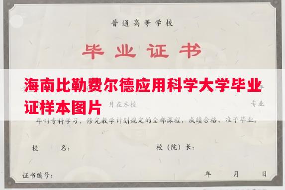 海南比勒费尔德应用科学大学毕业证样本图片