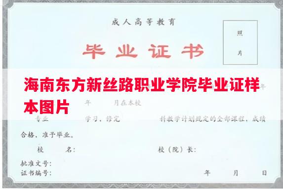 海南东方新丝路职业学院毕业证样本图片