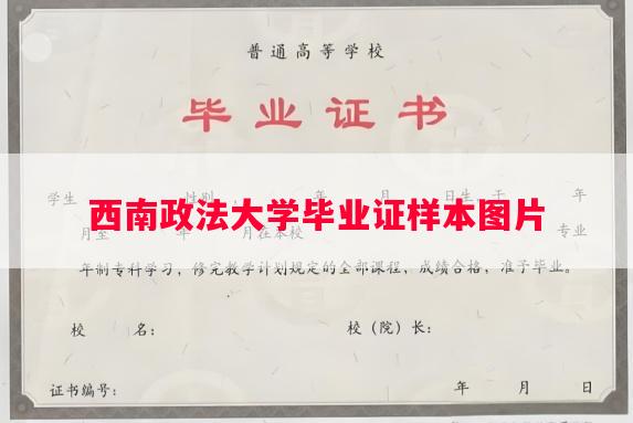 西南政法大学毕业证样本图片