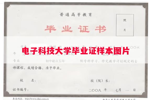 电子科技大学毕业证样本图片