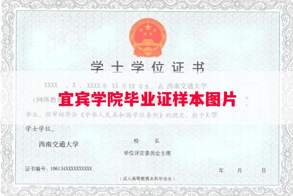 宜宾学院毕业证样本图片