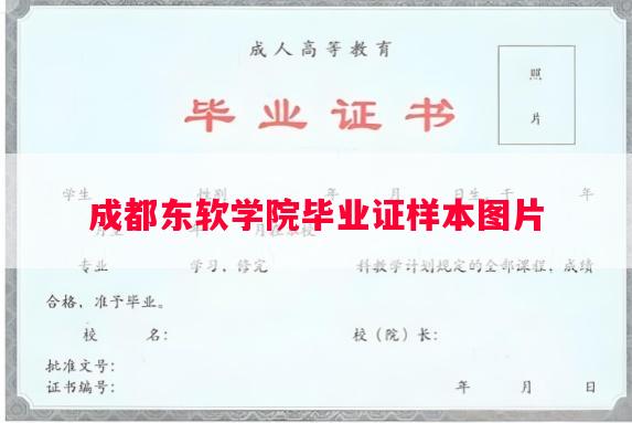 成都东软学院毕业证样本图片