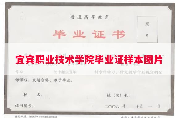 宜宾职业技术学院毕业证样本图片