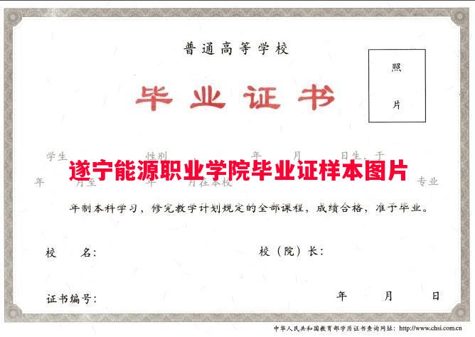 遂宁能源职业学院毕业证样本图片