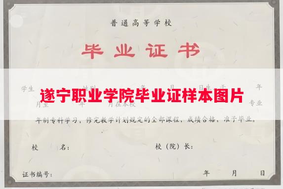 遂宁职业学院毕业证样本图片