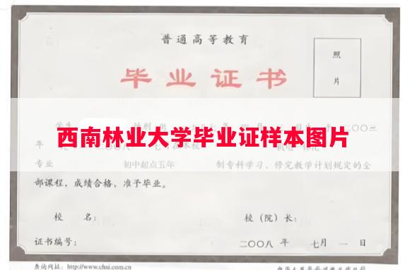 西南林业大学毕业证样本图片