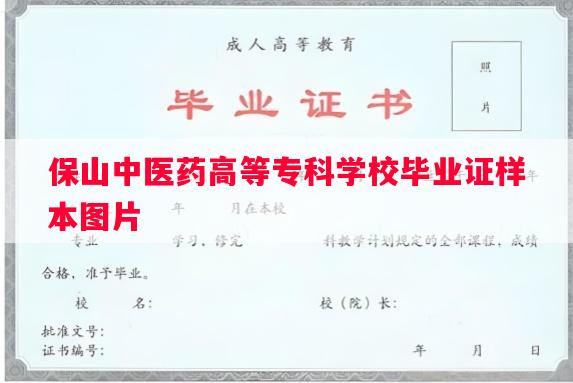 保山中医药高等专科学校毕业证样本图片
