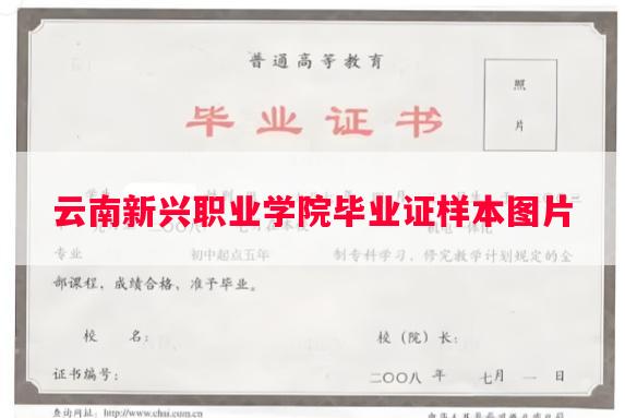 云南新兴职业学院毕业证样本图片