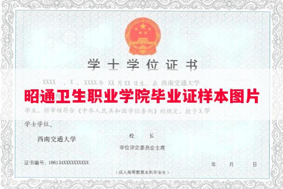 昭通卫生职业学院毕业证样本图片