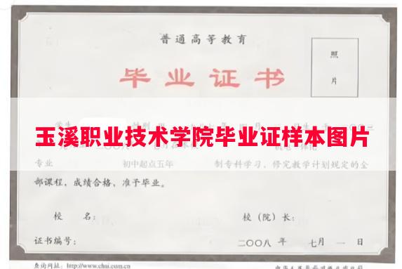 玉溪职业技术学院毕业证样本图片