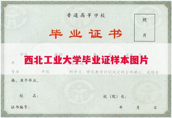 西北工业大学毕业证样本图片