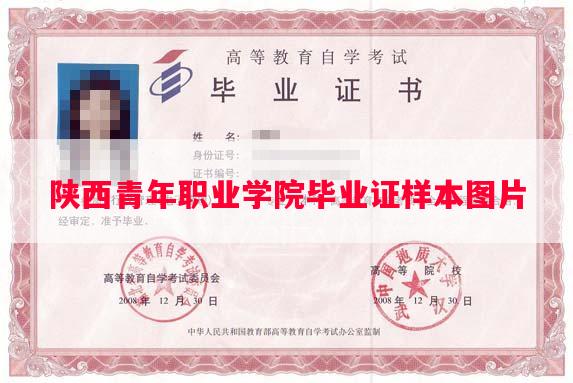 陕西青年职业学院毕业证样本图片