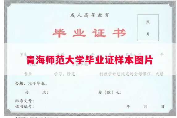 青海师范大学毕业证样本图片