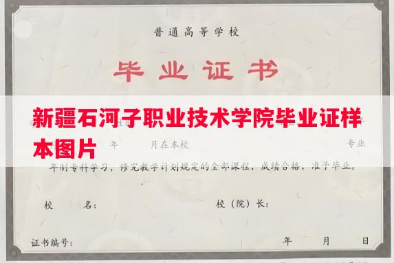 新疆石河子职业技术学院毕业证样本图片