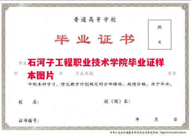 石河子工程职业技术学院毕业证样本图片