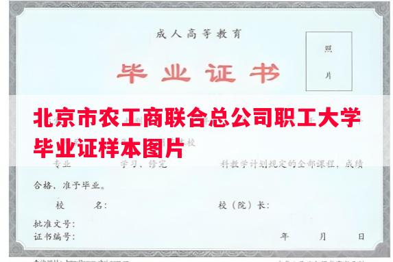 北京市农工商联合总公司职工大学毕业证样本图片