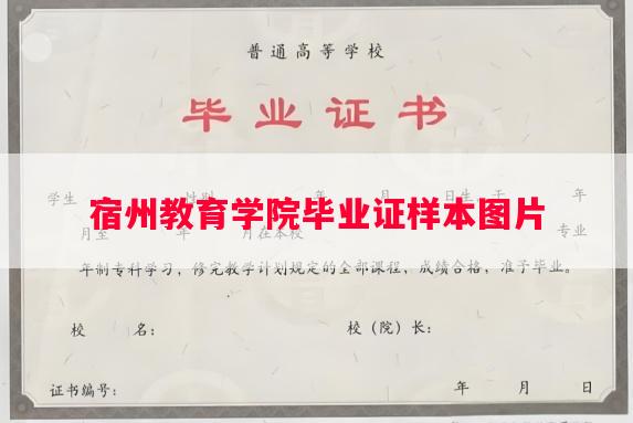 宿州教育学院毕业证样本图片 宿州教育学院毕业证样本图片