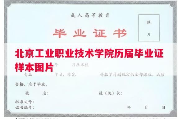 北京工业职业技术学院历届毕业证样本图片