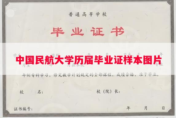 中国民航大学历届毕业证样本图片