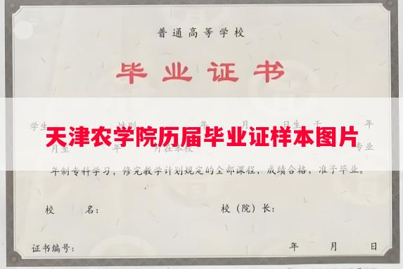天津农学院历届毕业证样本图片