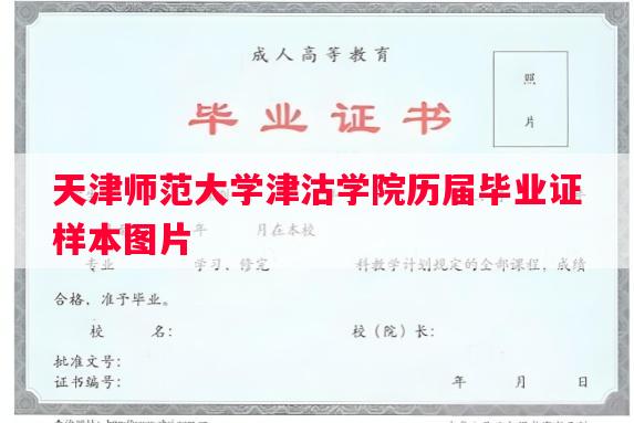 天津师范大学津沽学院历届毕业证样本图片 天津师范大学津沽学院历届毕业证样本图片