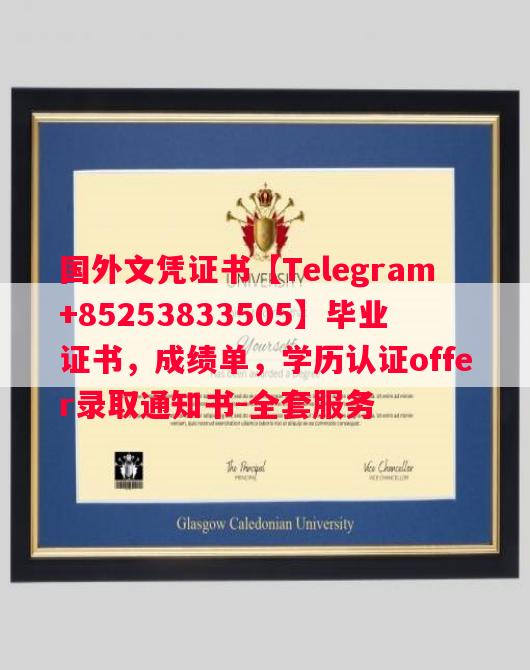 德国慕尼黑大学毕业证书样本成绩单