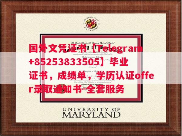 法国南锡第一大学毕业证书样本成绩单